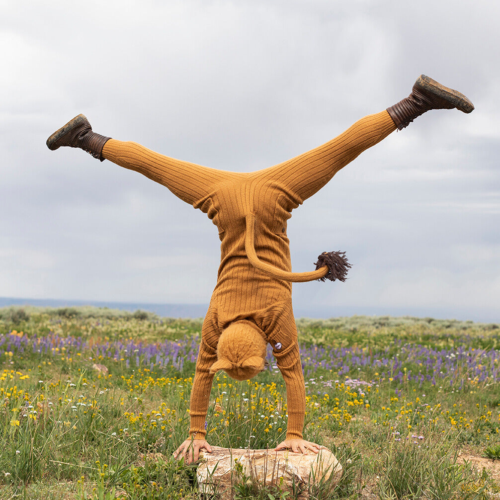 Person in an animal costume doing a handstand in a field with wildflowers and a cloudy sky.