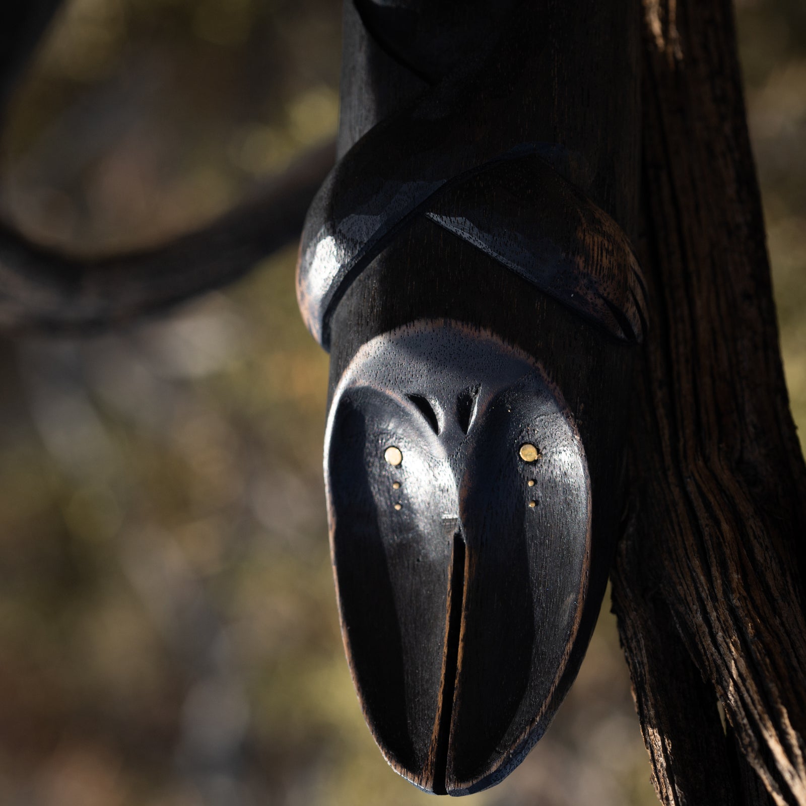 Wooden bat head with bronze eyes facing upside down against a blurred natural background