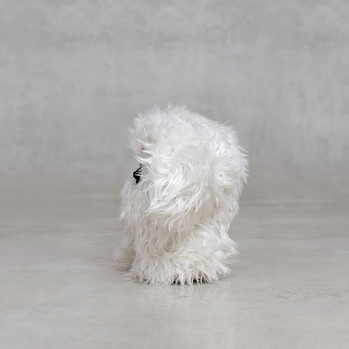 White fluffy creature  on a gray background