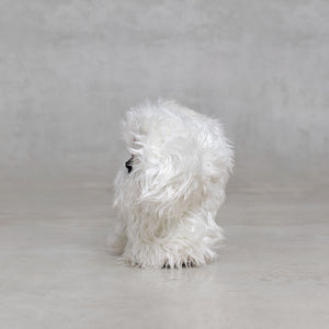 White fluffy creature  on a gray background