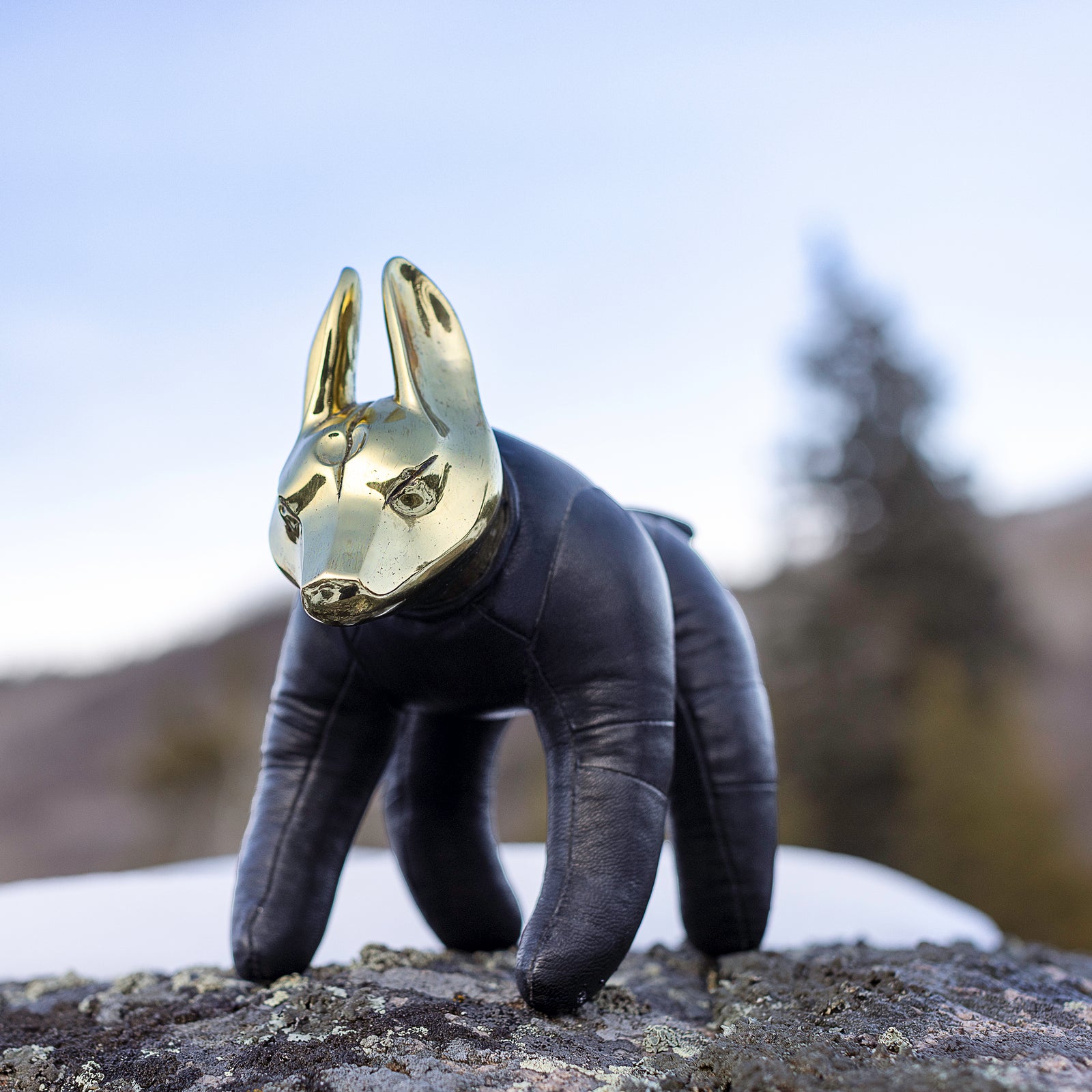 Black leather toy with gold brass dog head on a rock with blurred natural background