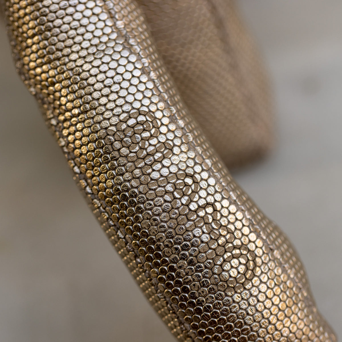 Close-up of a textured gold creature with a blurred background