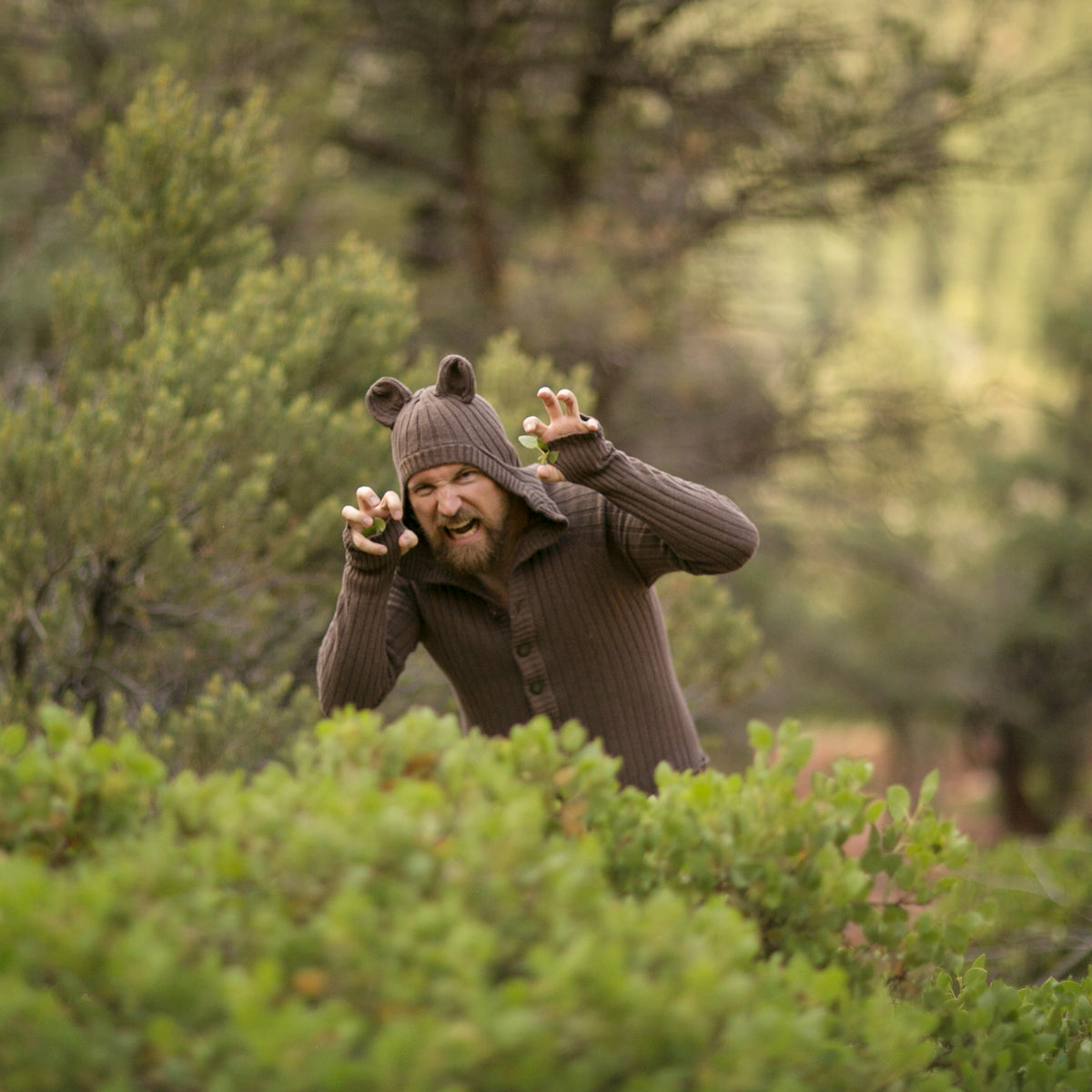 Person wearing a bear costume in a forest setting