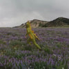 A person in a dinosaur onesie costume running through a field of purple wildflowers with mountains in the background 