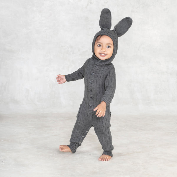 Baby Bunny Suit Gray