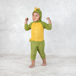 dinosaur suit onesie for babies