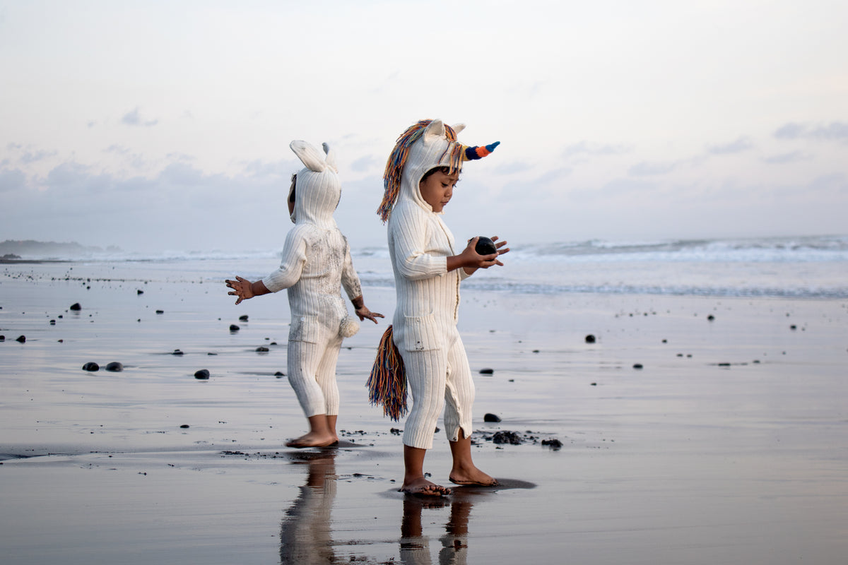 unicorn and bunny children play clothes