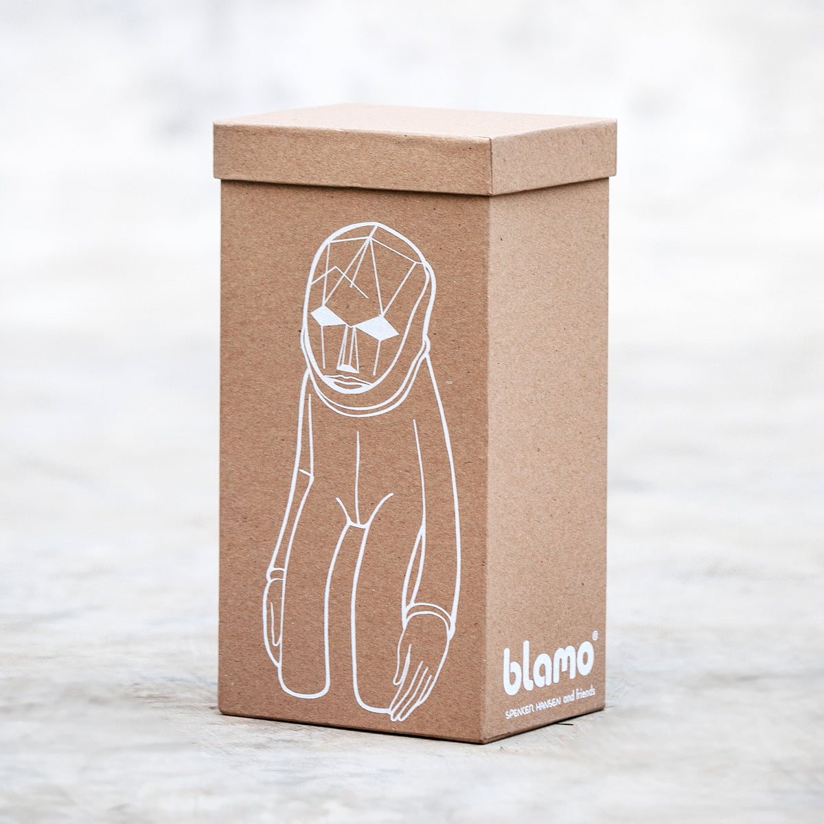 Custom Hand Made Collectible Blamo Art Toy Box