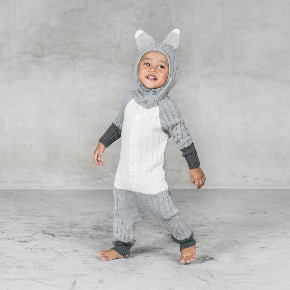 labyrint fajance Undtagelse Baby Fox Suit - Silver - blamo.store